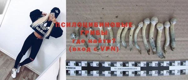 дурь Медногорск