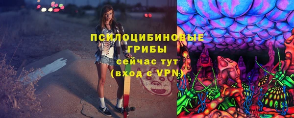 сатива Медвежьегорск