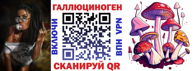 Псилоцибиновые грибы Psilocybe Урай