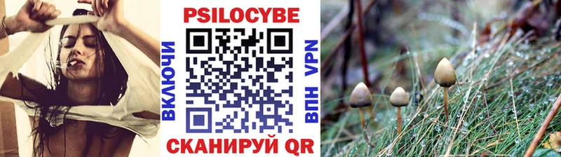 KRAKEN сайт  Урай  Галлюциногенные грибы Magic Shrooms 