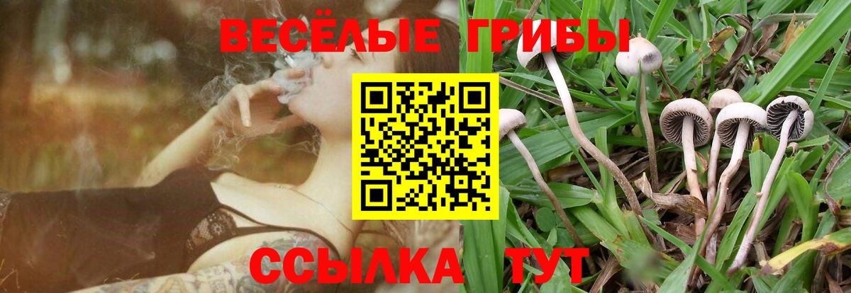 Галлюциногенные грибы прущие грибы Урай