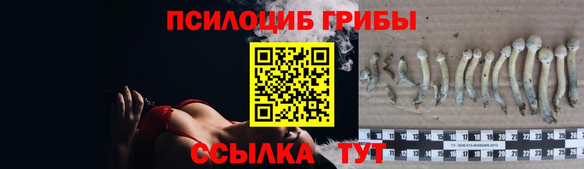 Галлюциногенные грибы Cubensis  Урай 